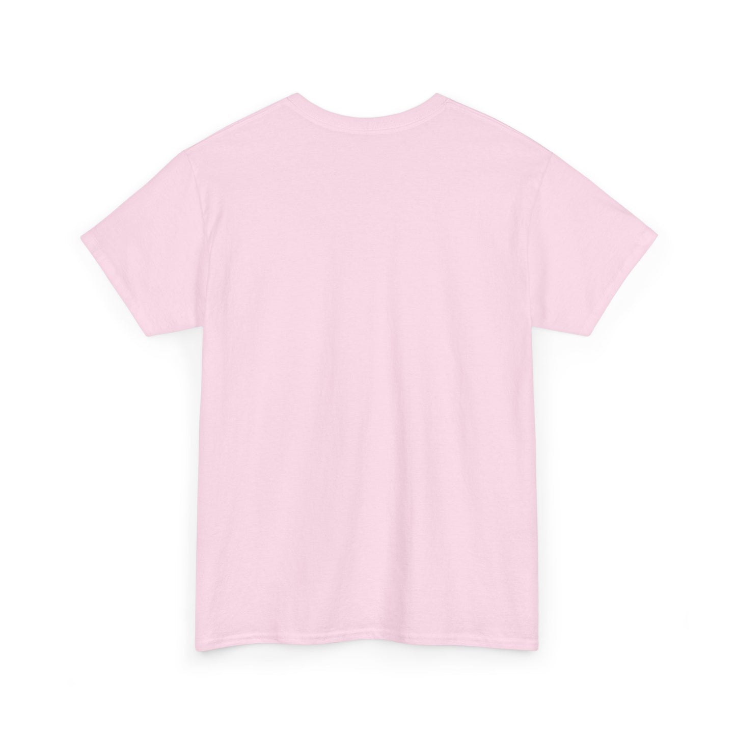 North Toledo Bend State Park T-Shirt — Zwolle, Louisiana Coordinates Tee